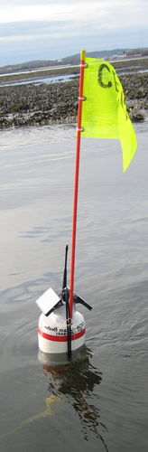 CESN Microbuoy